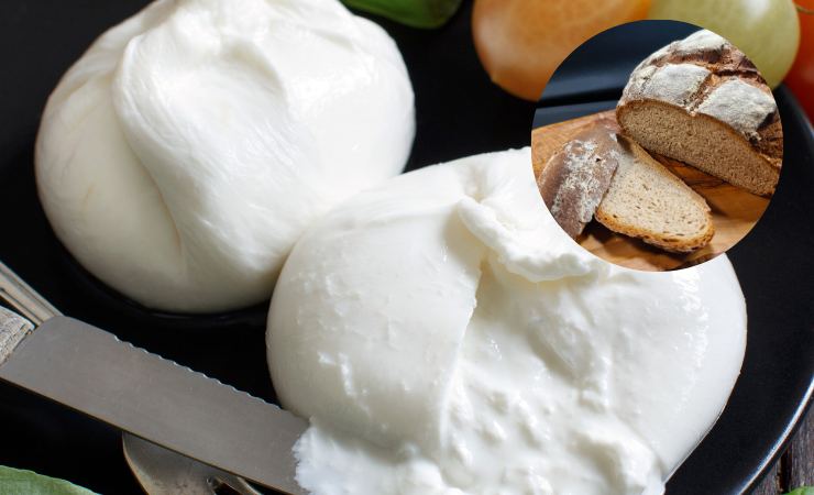 burrata e pane 