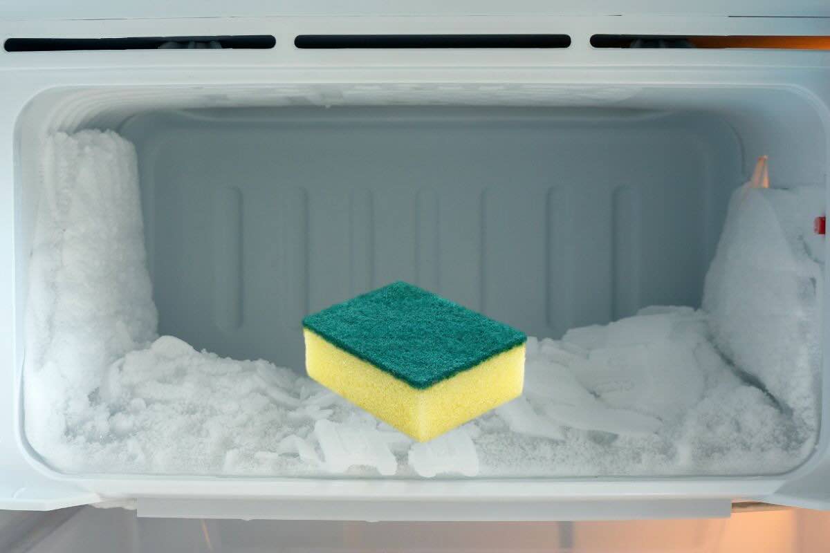 spugnetta nel freezer 